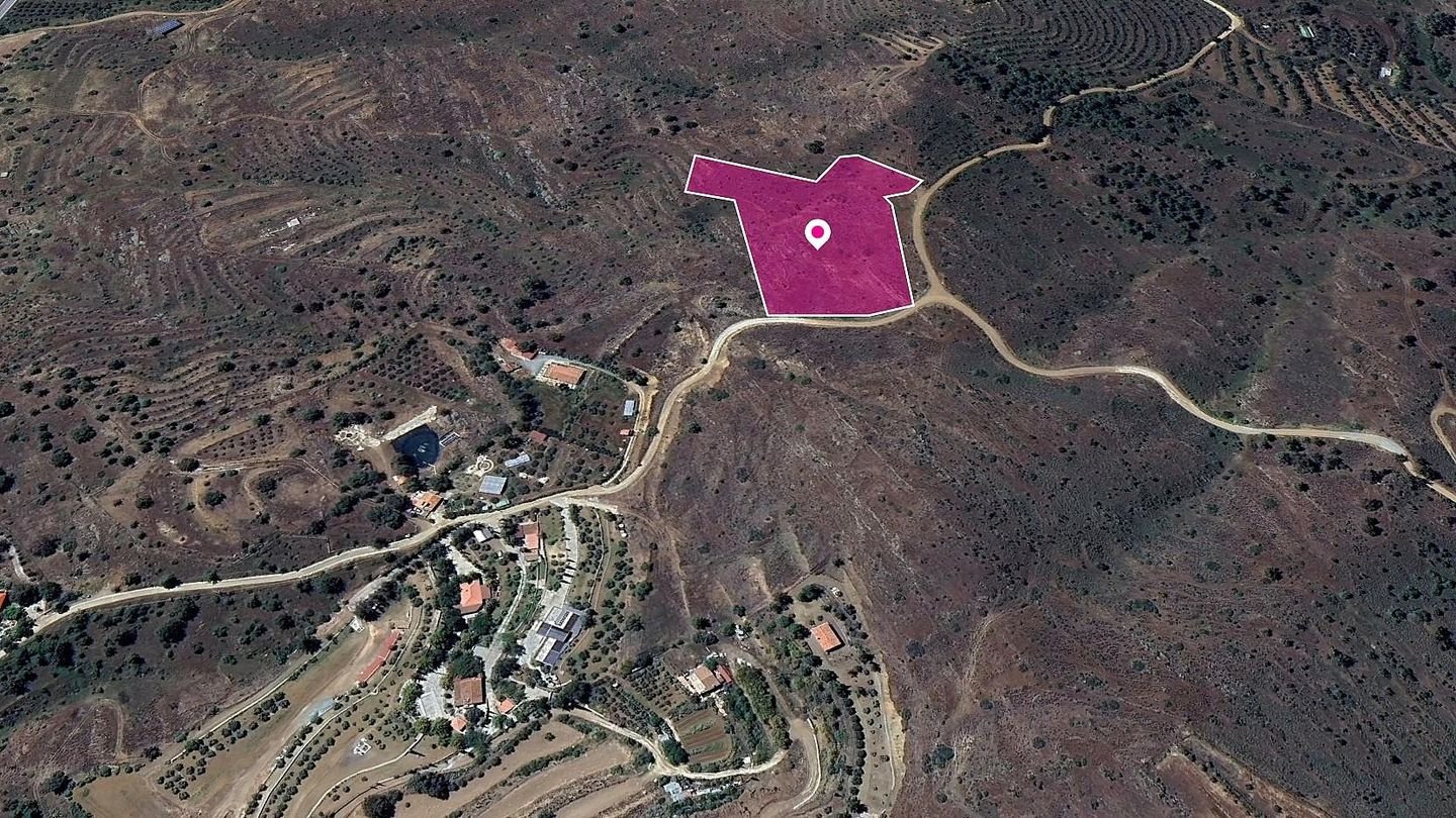 (Share) Live stock field in Kalo Chorio Oreinis, Nicosia photo 1
