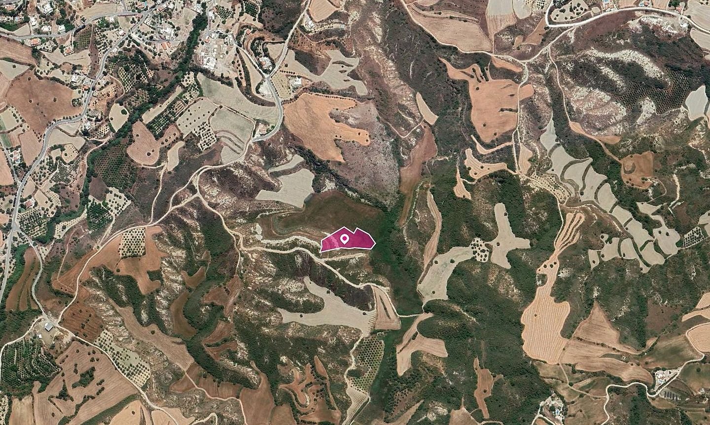 Field in Steni, Paphos photo 3