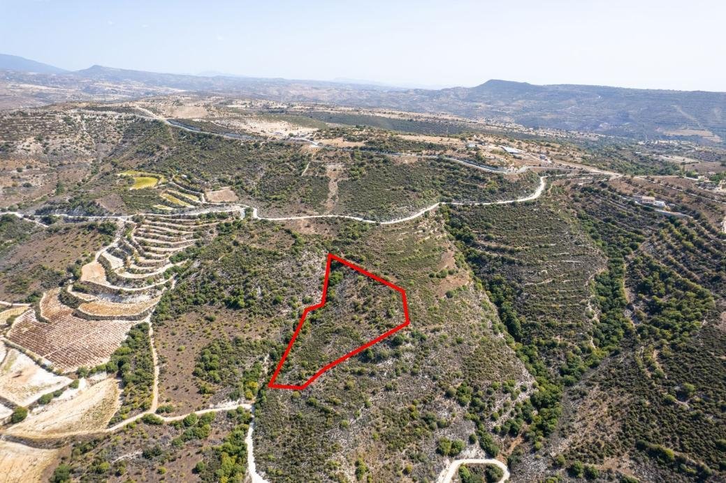 Field in Dora, Limassol photo 2