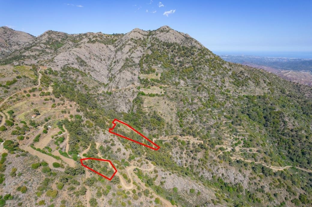 Five fields in Sykopetra, Limassol photo 4