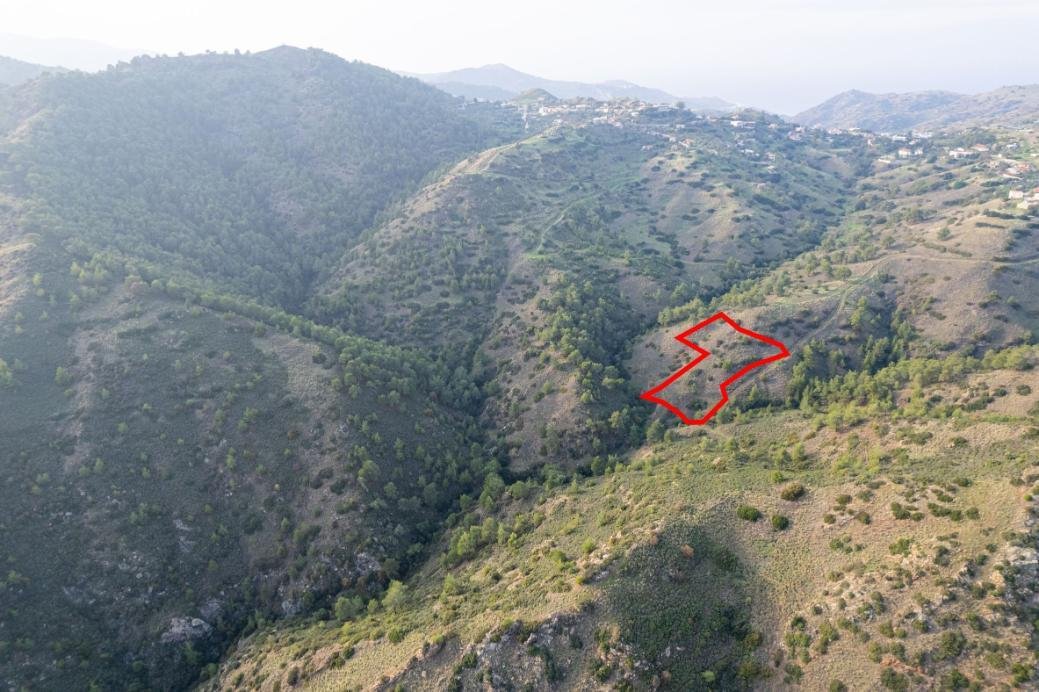 Shared agricultural field in Pigenia, Nicosia photo 3