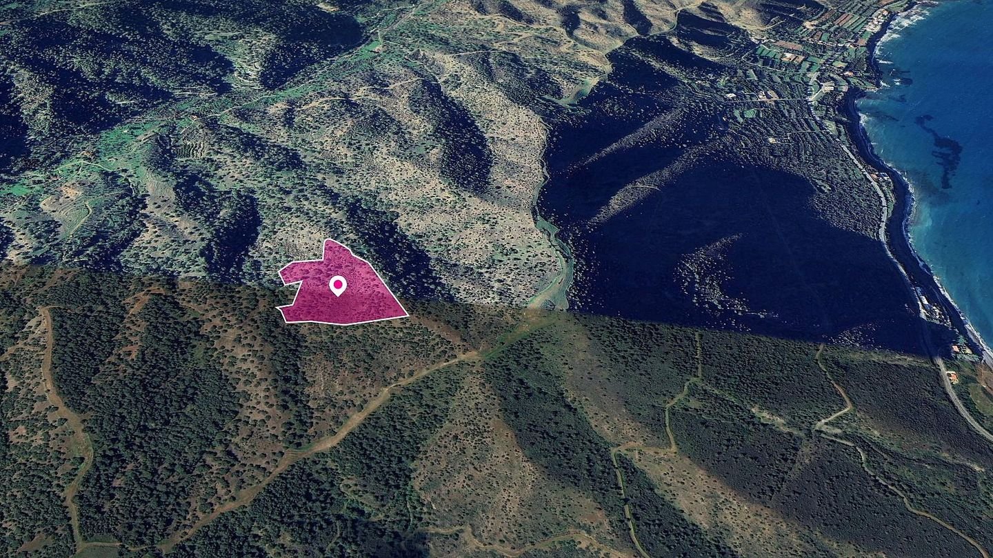 (Share) Field, Pomos, Paphos photo 3