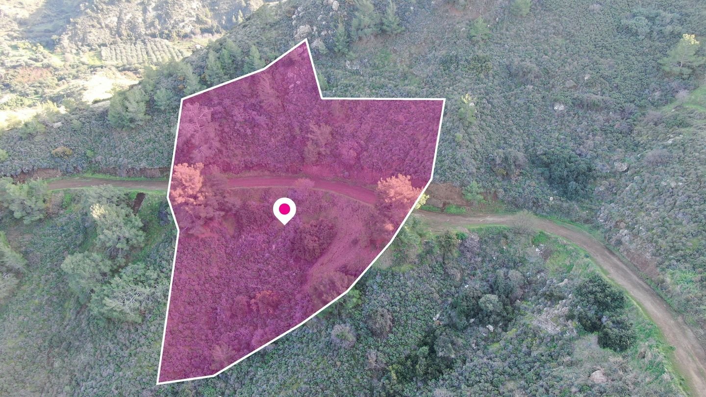 Residential field located in Pigenia, Nicosia photo 4