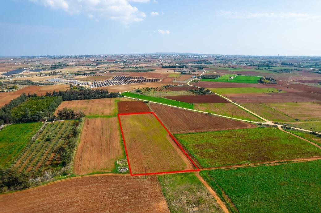 Agricultural field in Frenaros, Famagusta photo 4