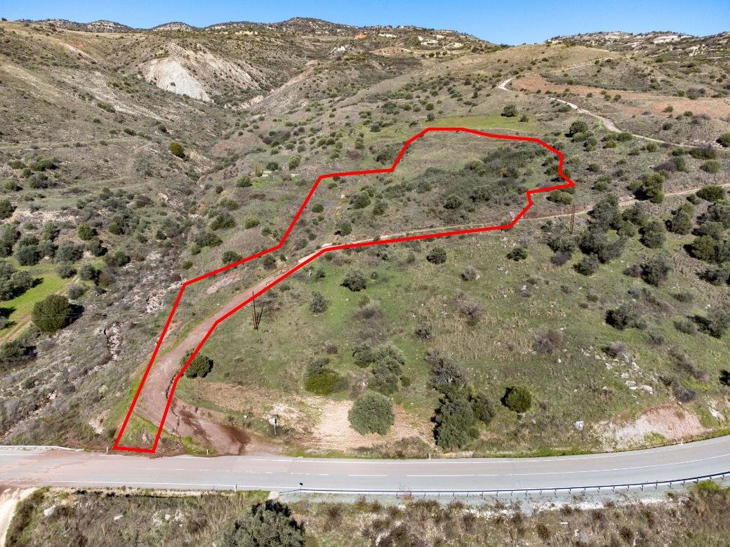 Shared field in Trachypedoula, Paphos photo 2