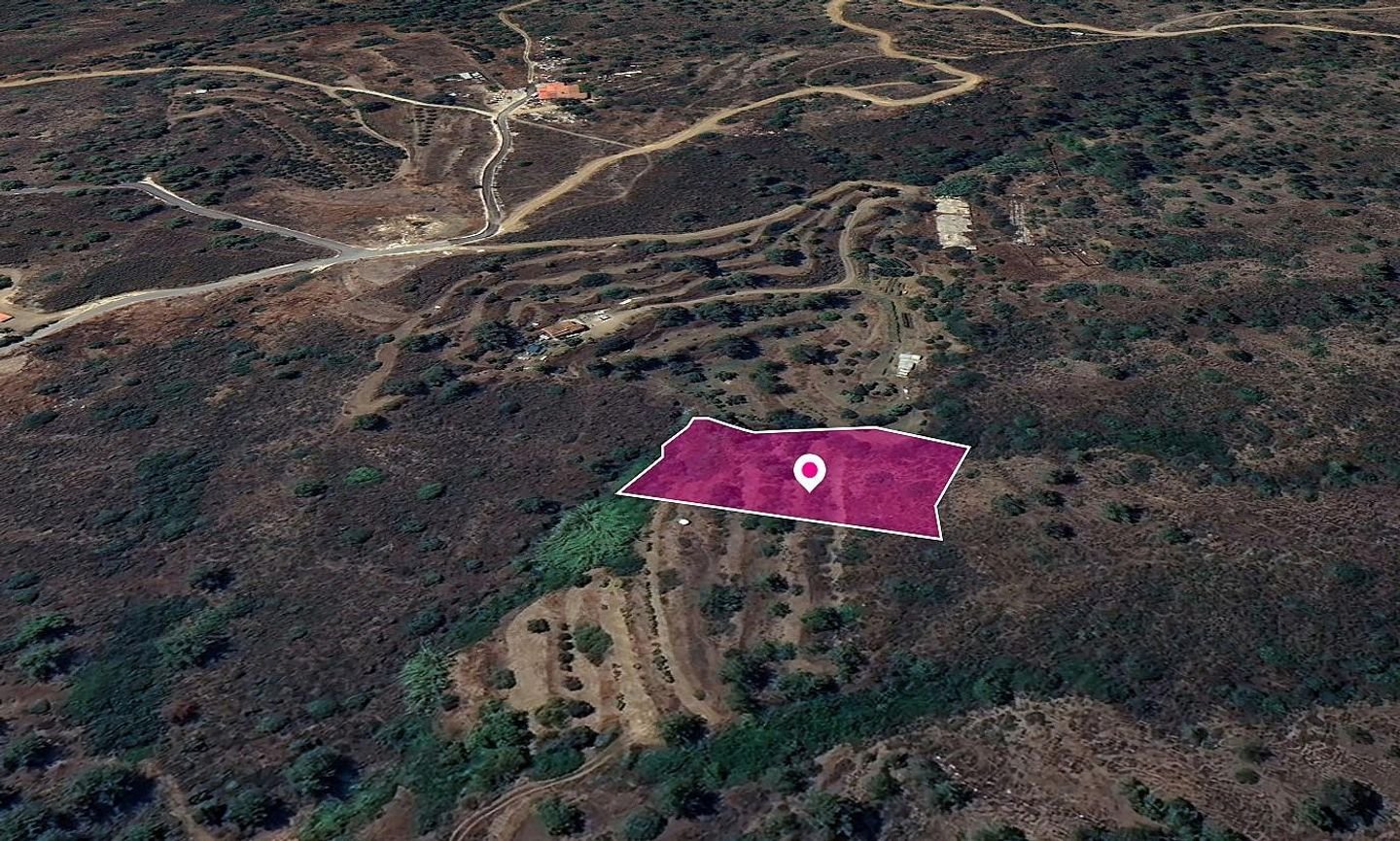 Agricultural Field in Temvria, Nicosia photo 2