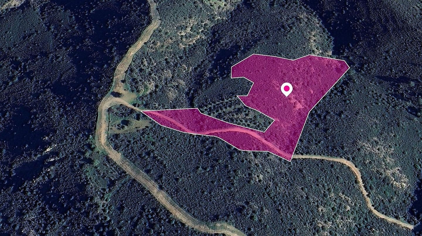 Special Protection Field in Lageia, Larnaca photo 3