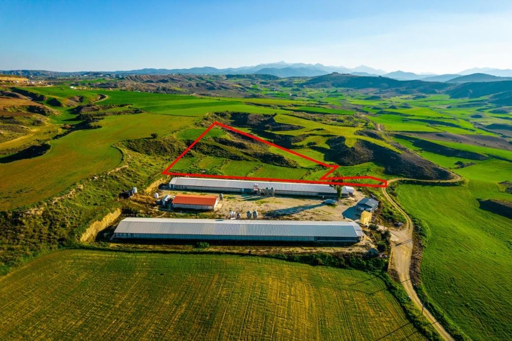 Agricultural field in Agios Ioannis, Nicosia photo 3