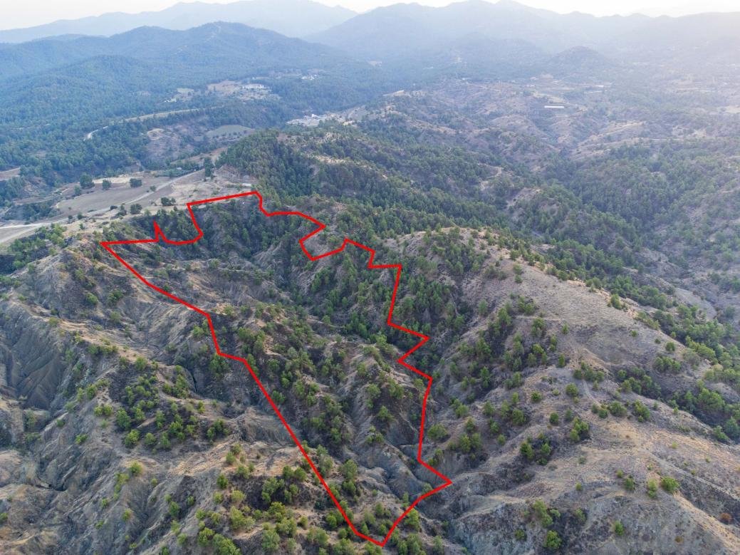 Shared field in Politiko, Nicosia photo 3