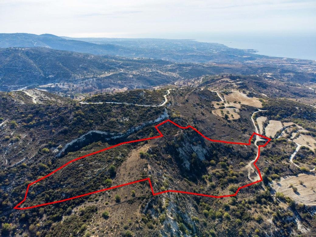 Shared agricultural field in Akoursos, Paphos photo 3