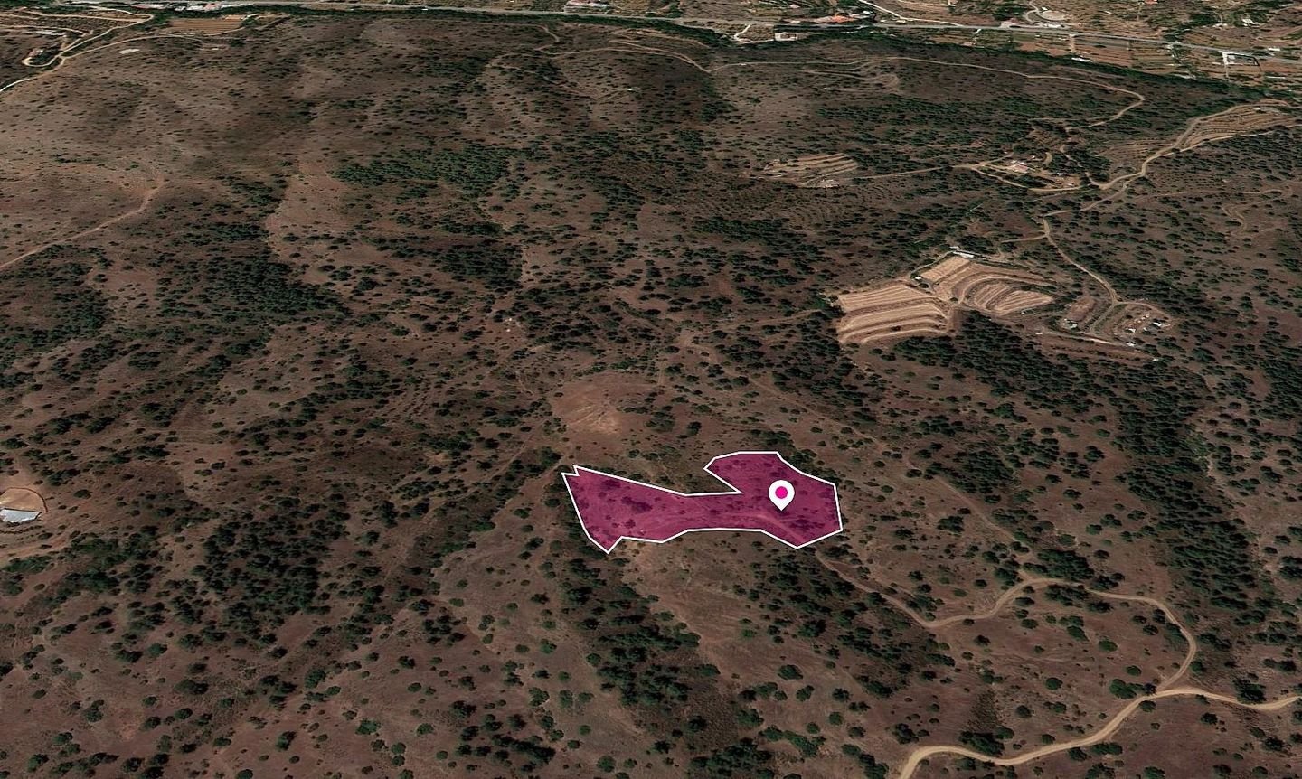 Field in Gourri, Nicosia photo 1