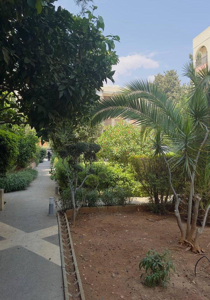 3 BR Apartment in Agios Athanasios, Limassol photo 20