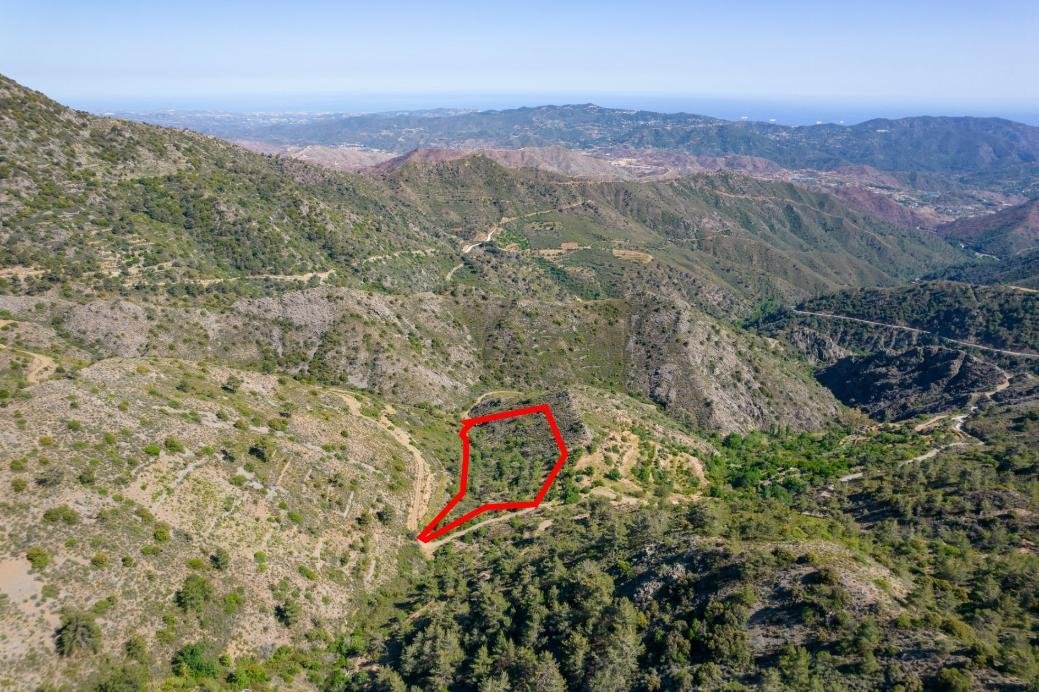 Five fields in Sykopetra, Limassol photo 6