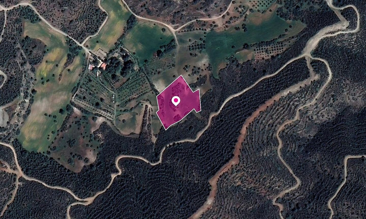 Field in Kofinou, Larnaka photo 3