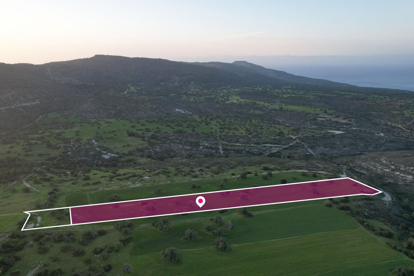 (Share) Agricultural Field, Neo Chorio Paphou photo 2