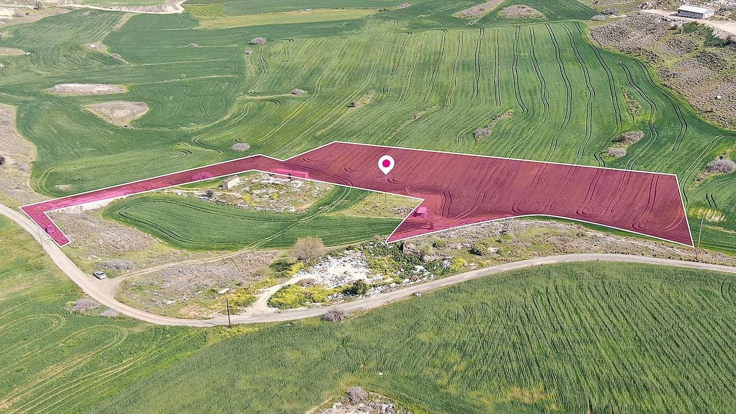 Agricultural field, Nisou photo 2