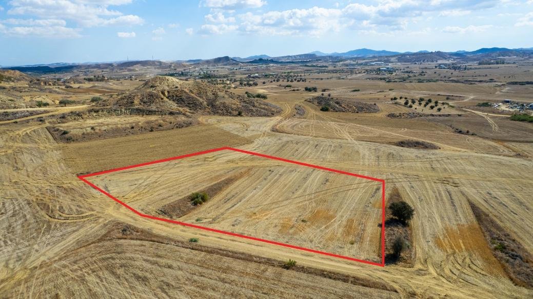 Shared agricultural field in Tseri, Nicosia photo 3