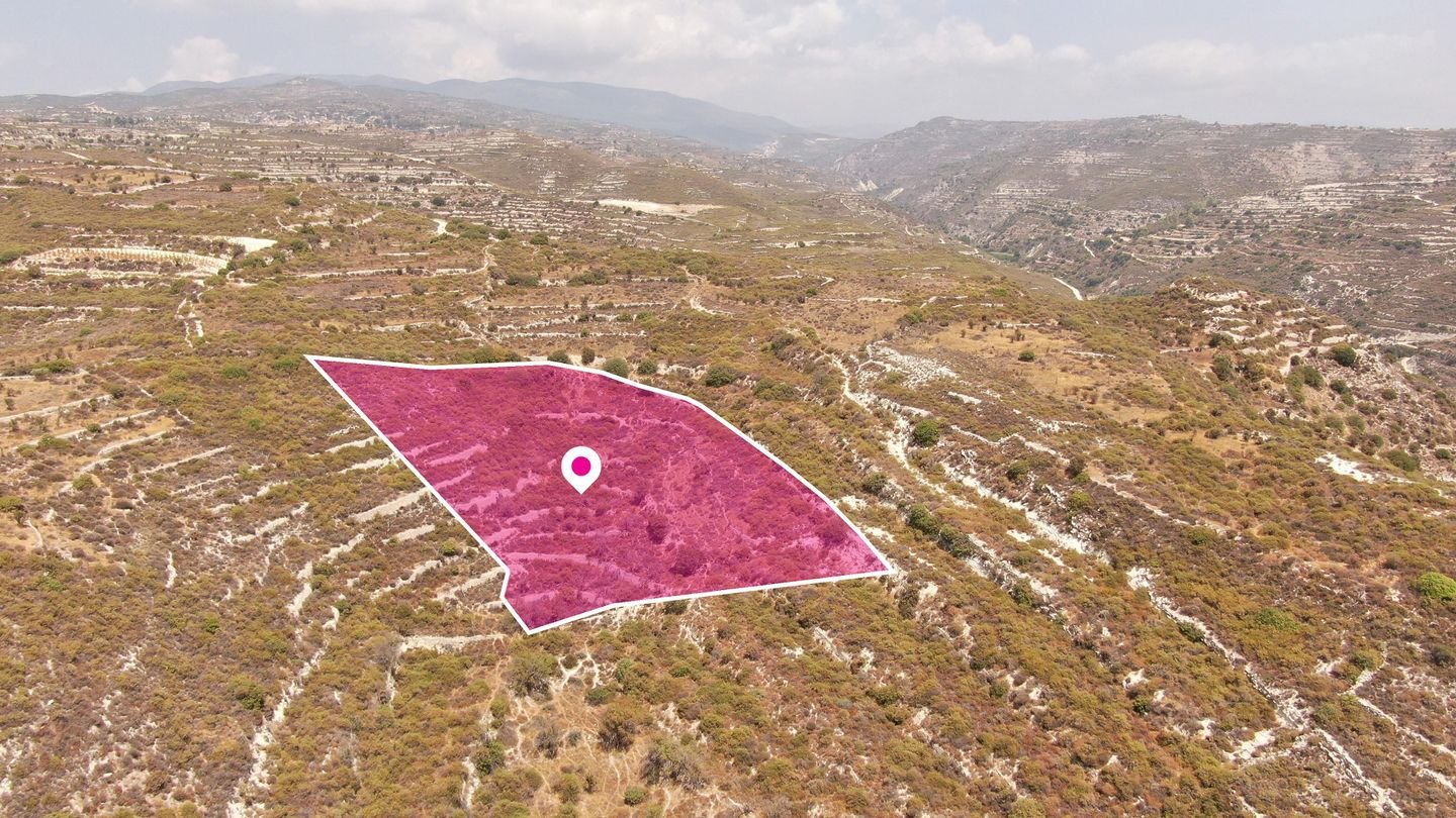 (Share) Agricultural field in Vouni, Limassol photo 2