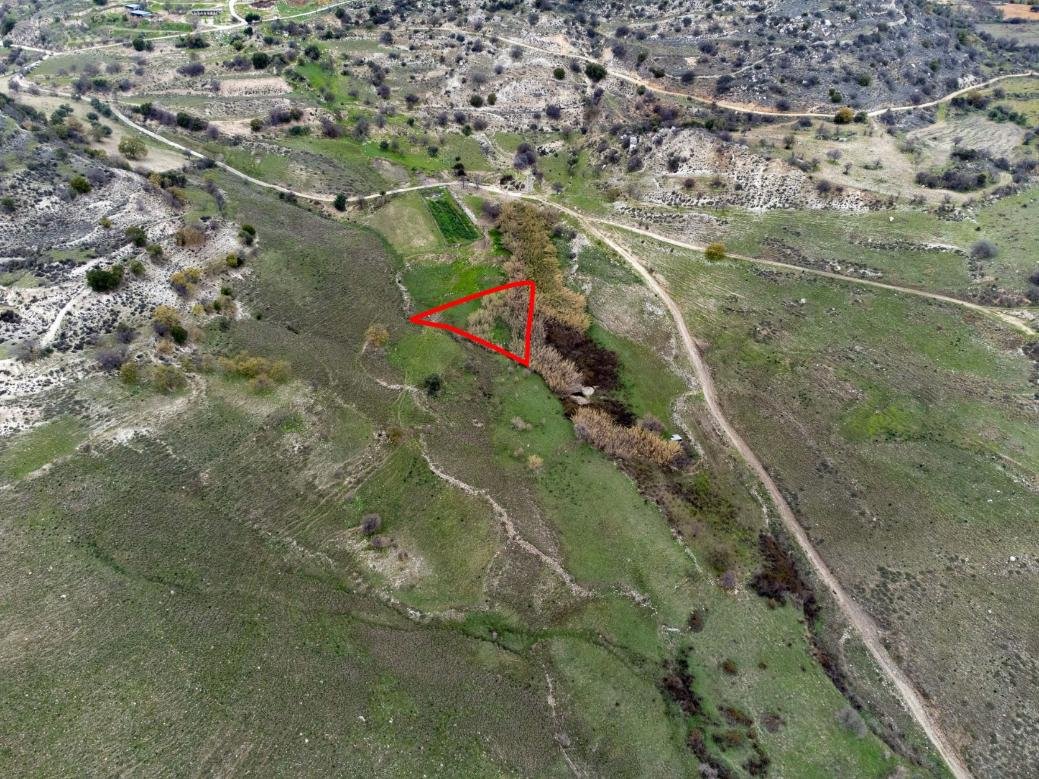 Shared fields in Agios Dimitrianos, Paphos photo 9