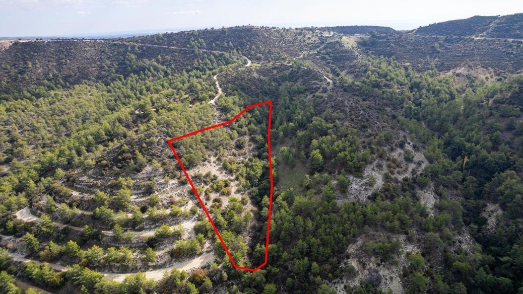 Shared field in Anogyra, Limassol photo 5