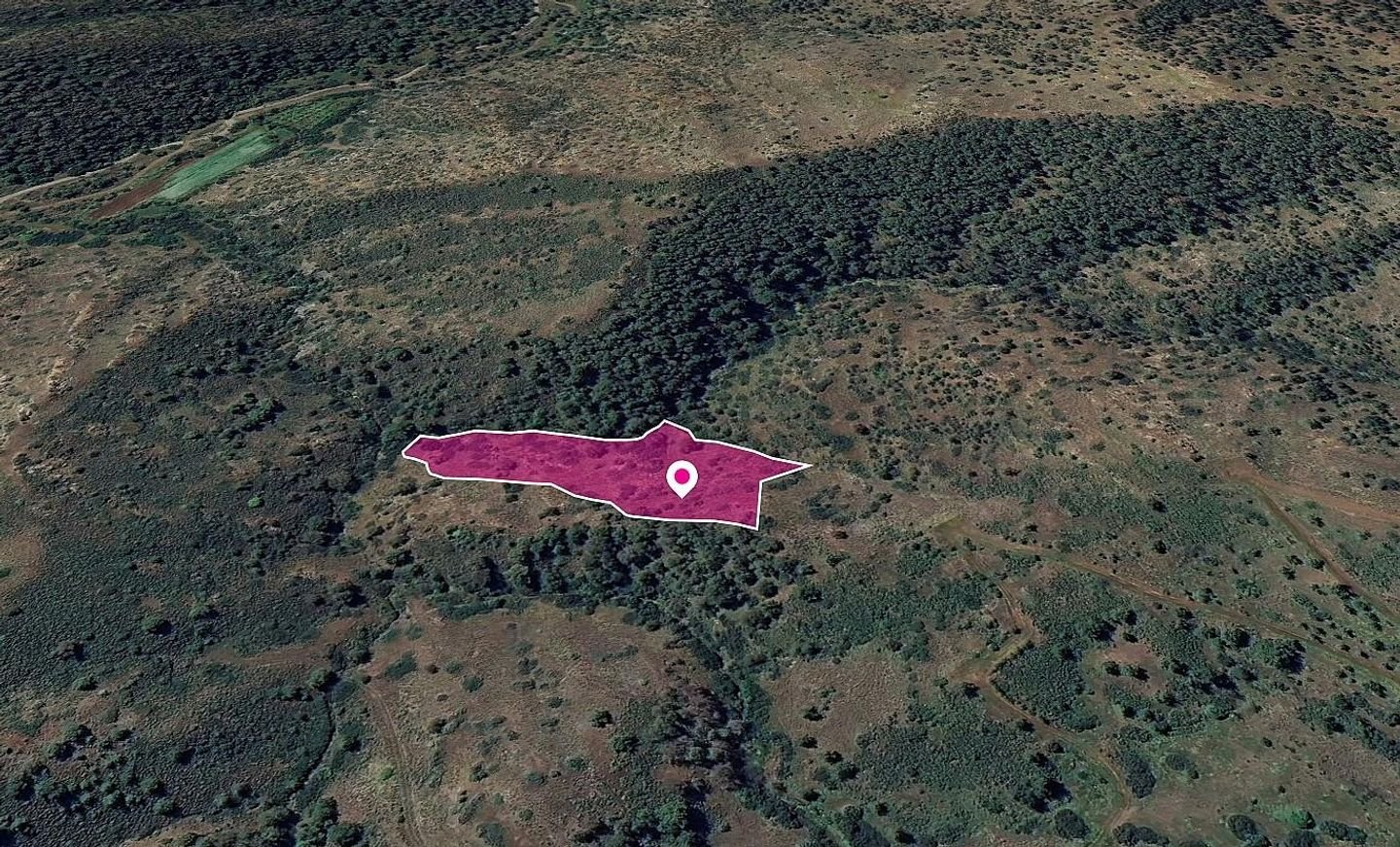 Agricultural Field in Pigenia, Nicosia photo 3