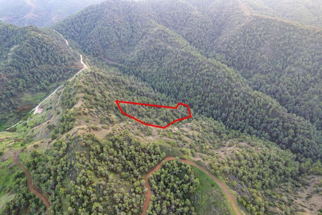 Agricultural field in Pano Pyrgos, Nicosia photo 5