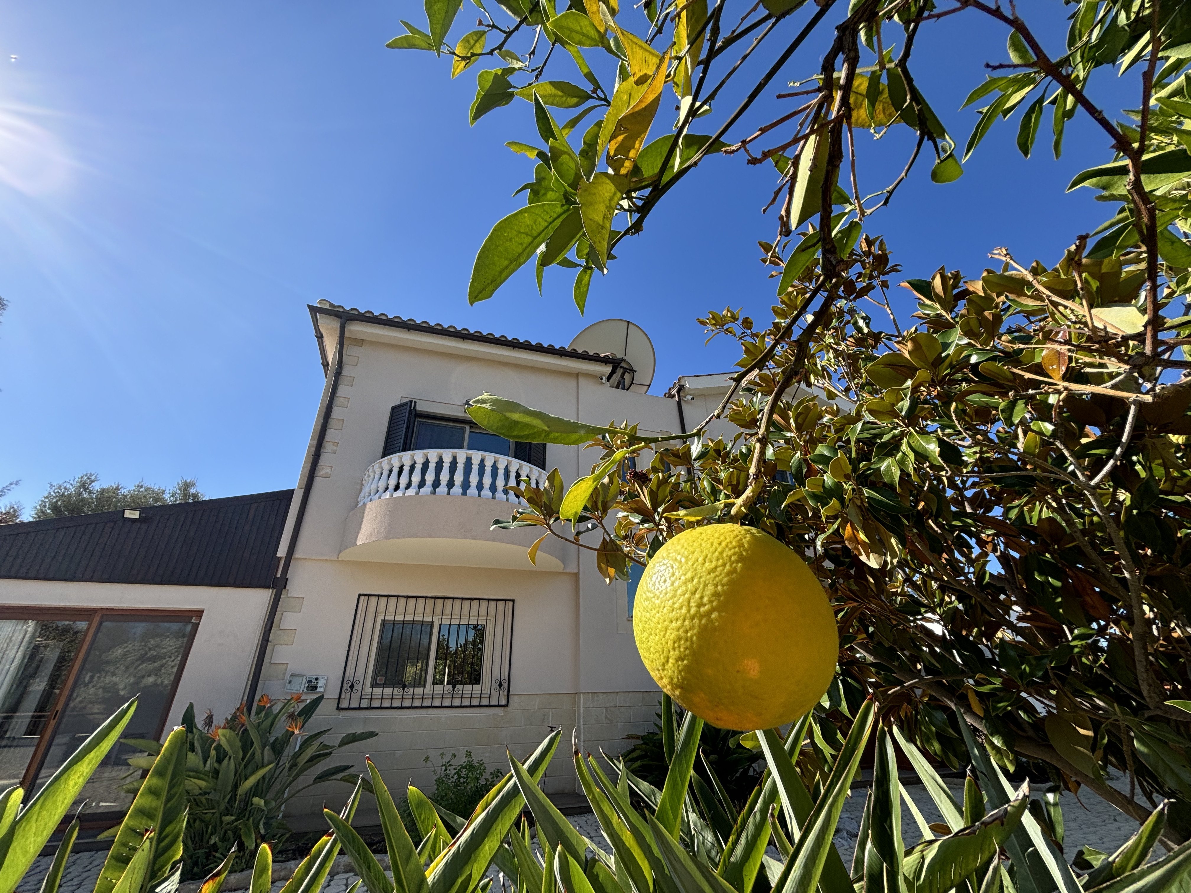 4 BR Villa in Kouklia, Paphos photo 33