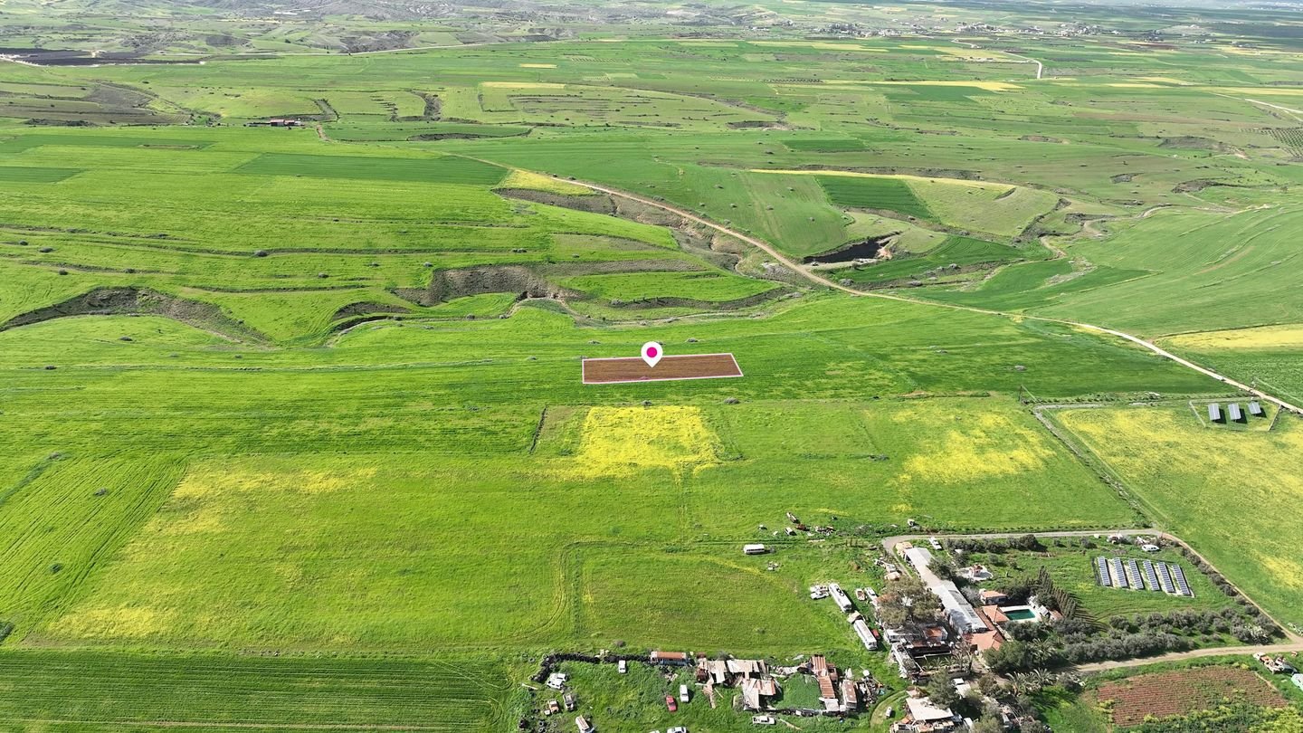 Livestock field in Peristerona, Nicosia photo 3