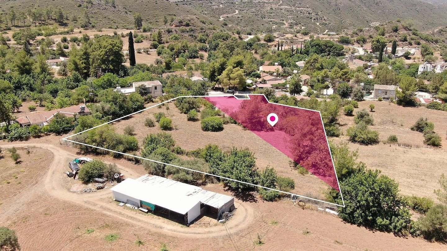 Residential Field in Lageia, Larnaca photo 2