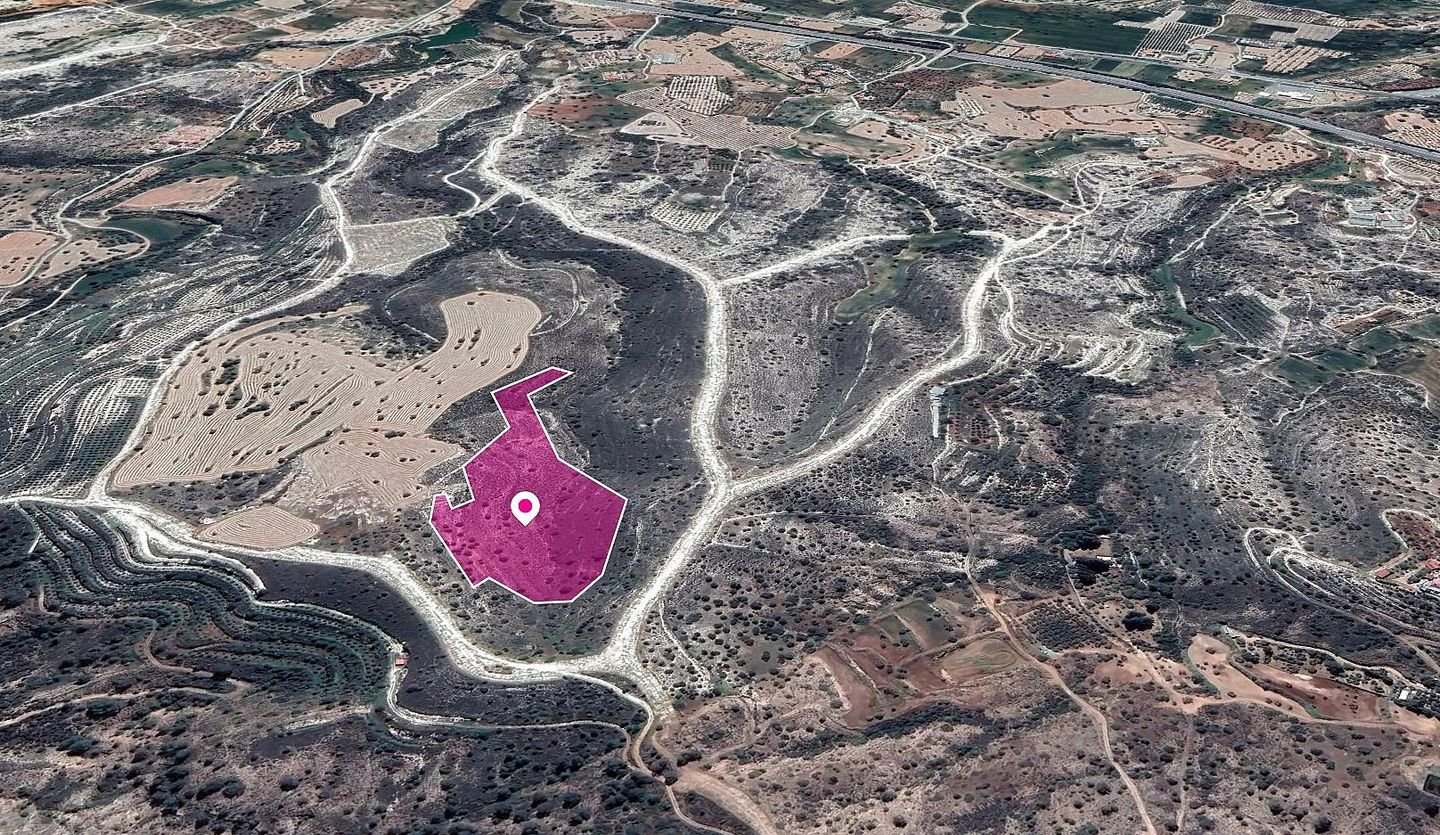 Field in Anglisides, Larnaca photo 1