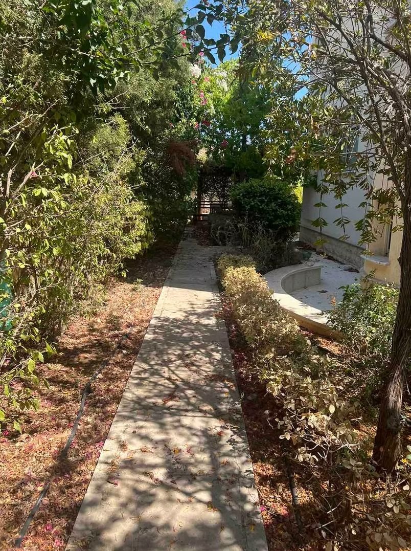 4 BR Villa in Tala, Paphos photo 4