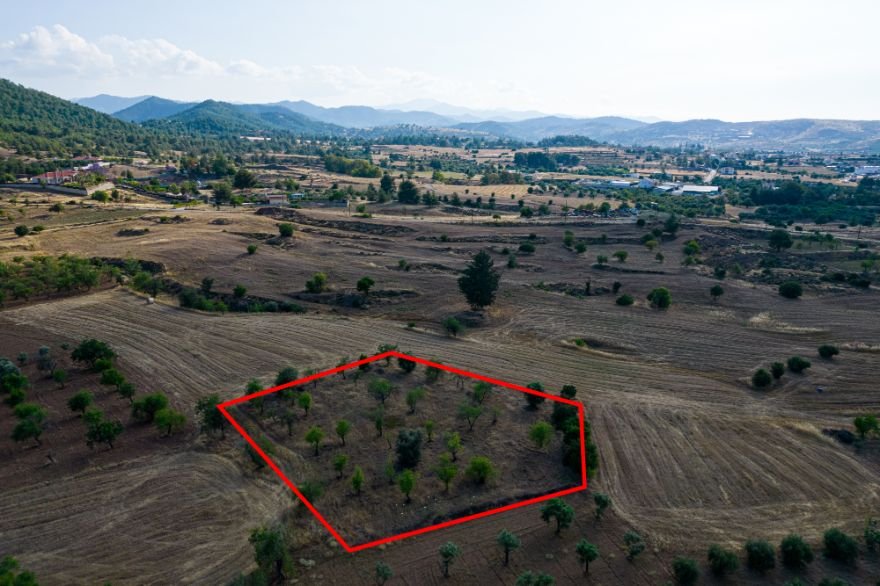 Residential field in Klirou, Nicosia photo 2