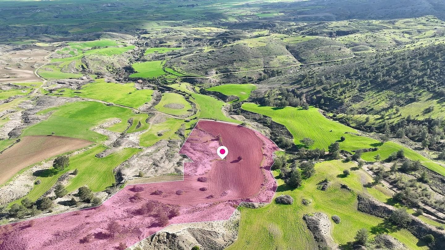Livestock field in Agia Marina Xyliatou, Nicosia photo 2