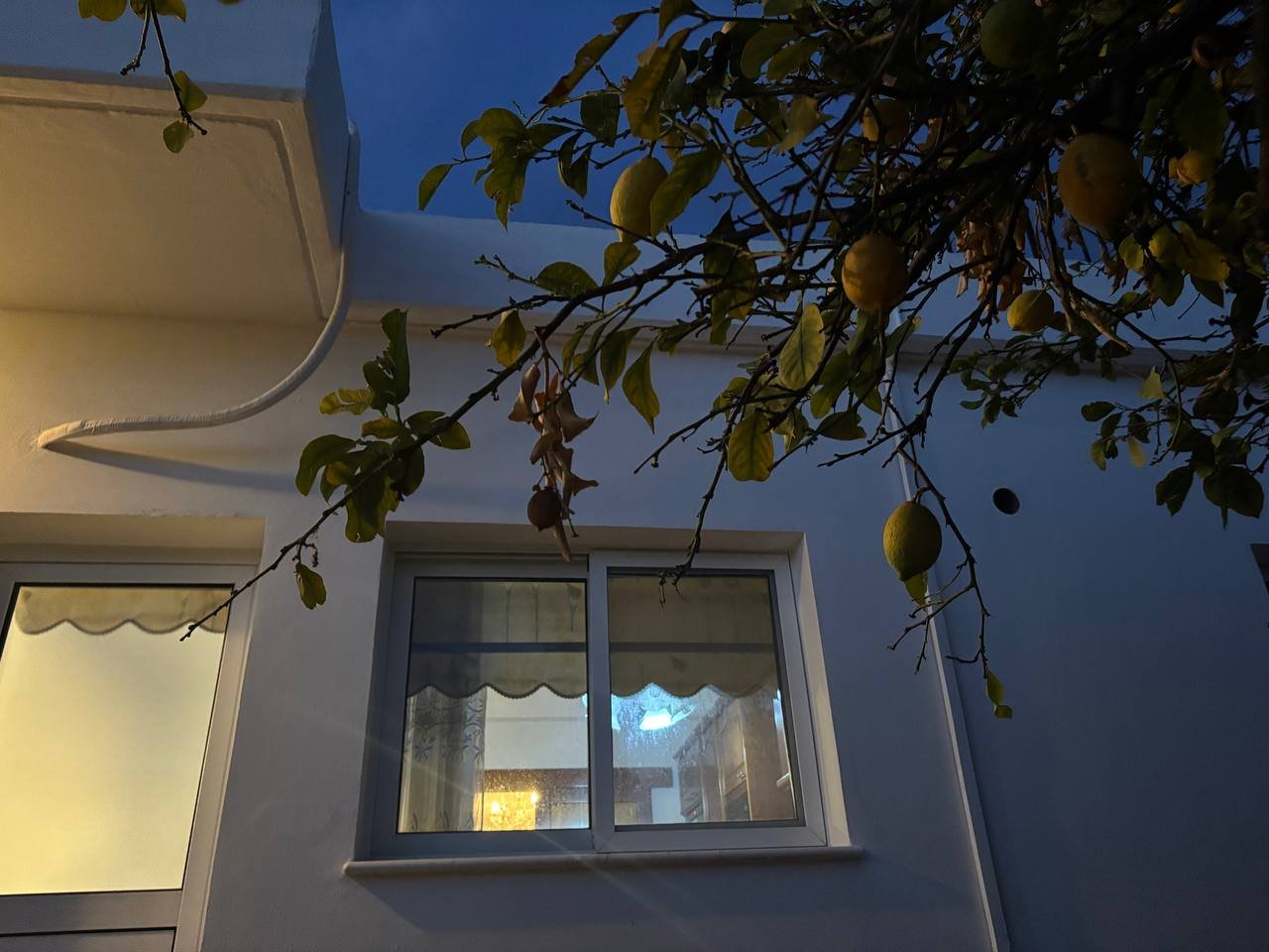 2 BR House in Agia Fyla, Limassol photo 17