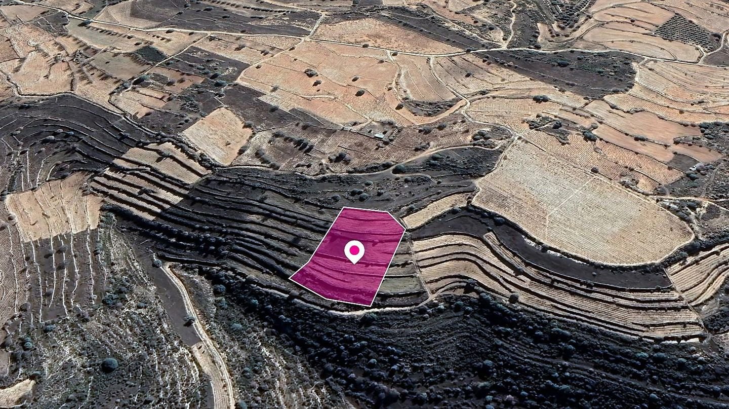 Agricultural Field, Pachna, Limassol photo 2