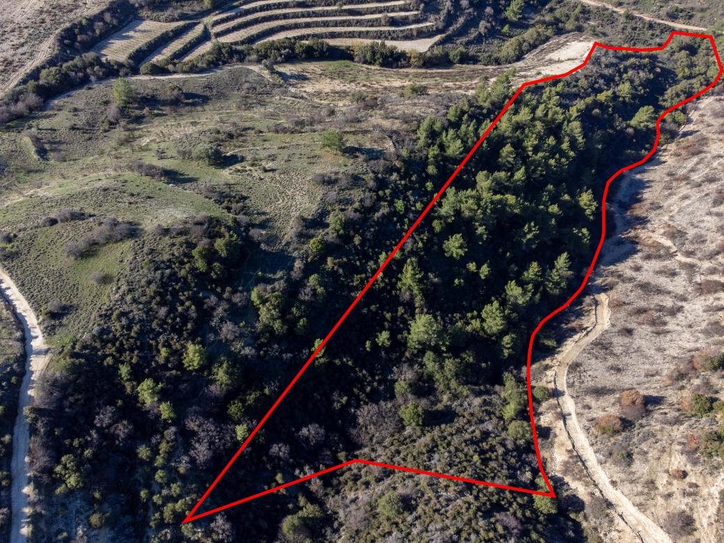 Field in Mousere, Paphos photo 3