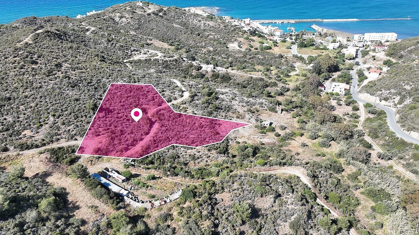 Field in Kato Pyrgos, Nicosia photo 4