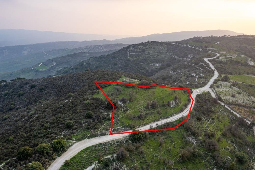 Shared agricultural field in Salamiou, Paphos photo 2