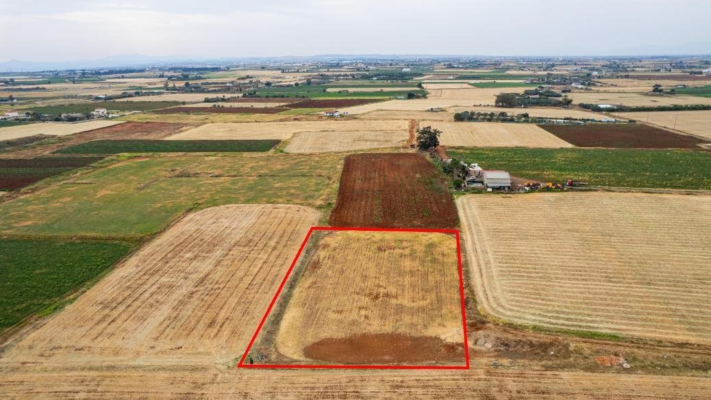 Agricultural field in Avgorou, Famagusta photo 4