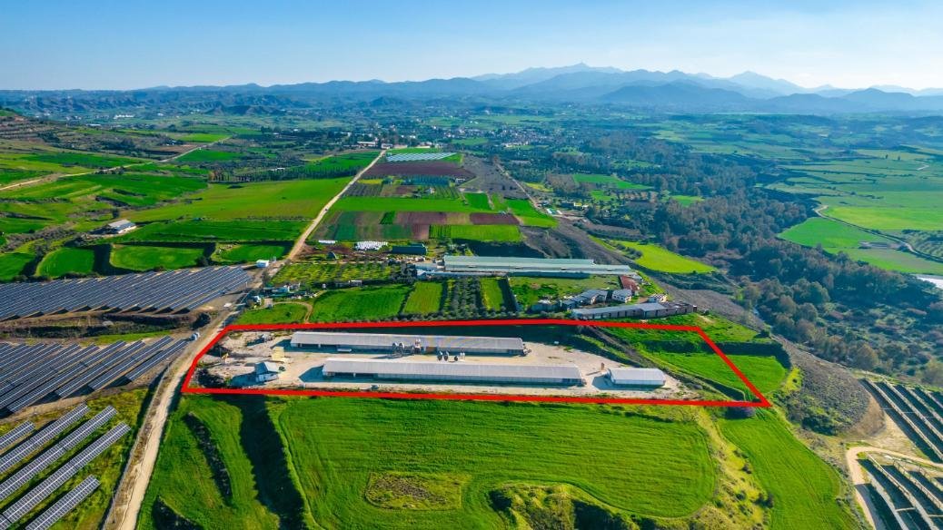 Field with a poultry farm in Agios Ioannis Malountas, Nicosia photo 3