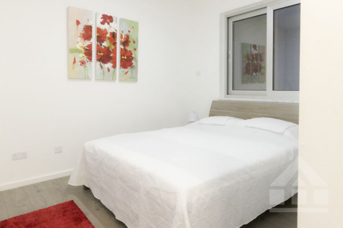 4 BR Penthouse in Chrysopolitissa, Larnaca photo 14