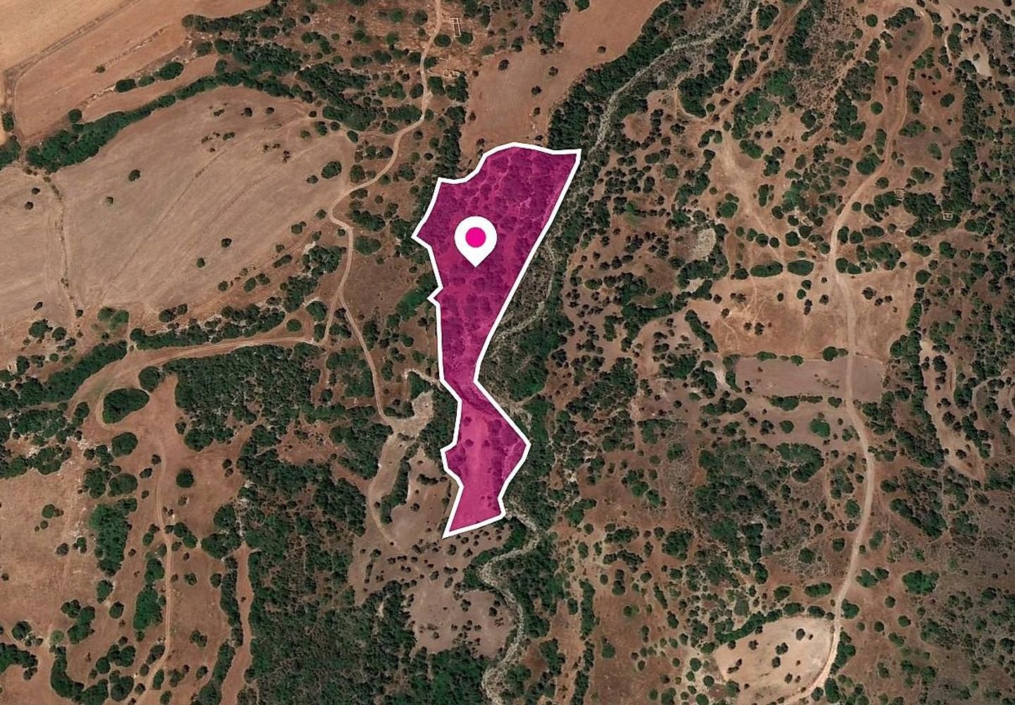 Shared Field, Kato Arodes, Paphos photo 3