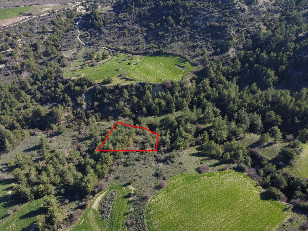 Field in Mousere, Paphos photo 2