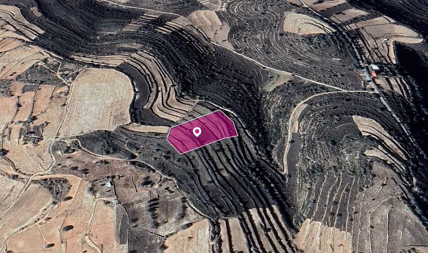 Agricultural Field, Pachna, Limassol photo 3