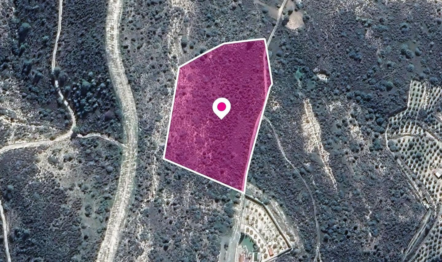 Agricultural field, Ora photo 2