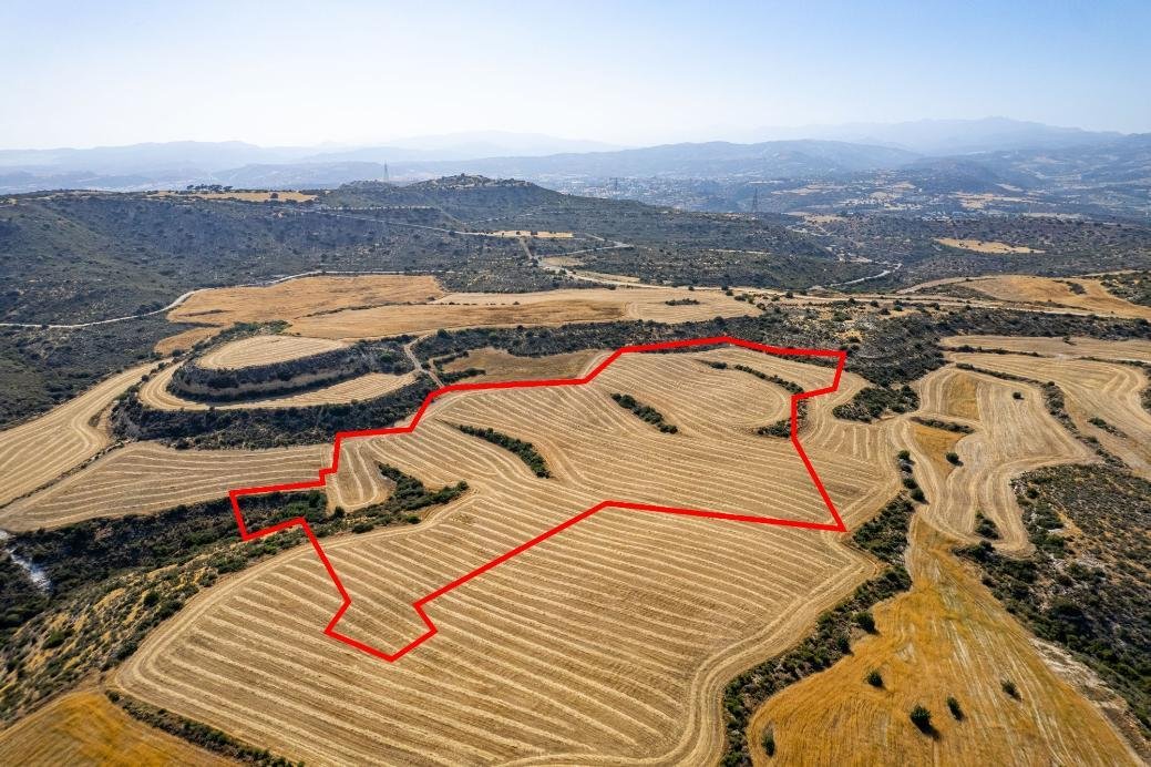 Shared field in Choirokoitia, Larnaca photo 3