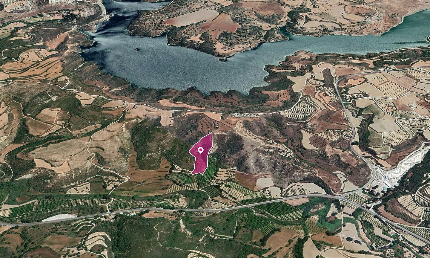 Shared Agricultural Field, Kato Akourdaleia, Paphos photo 2