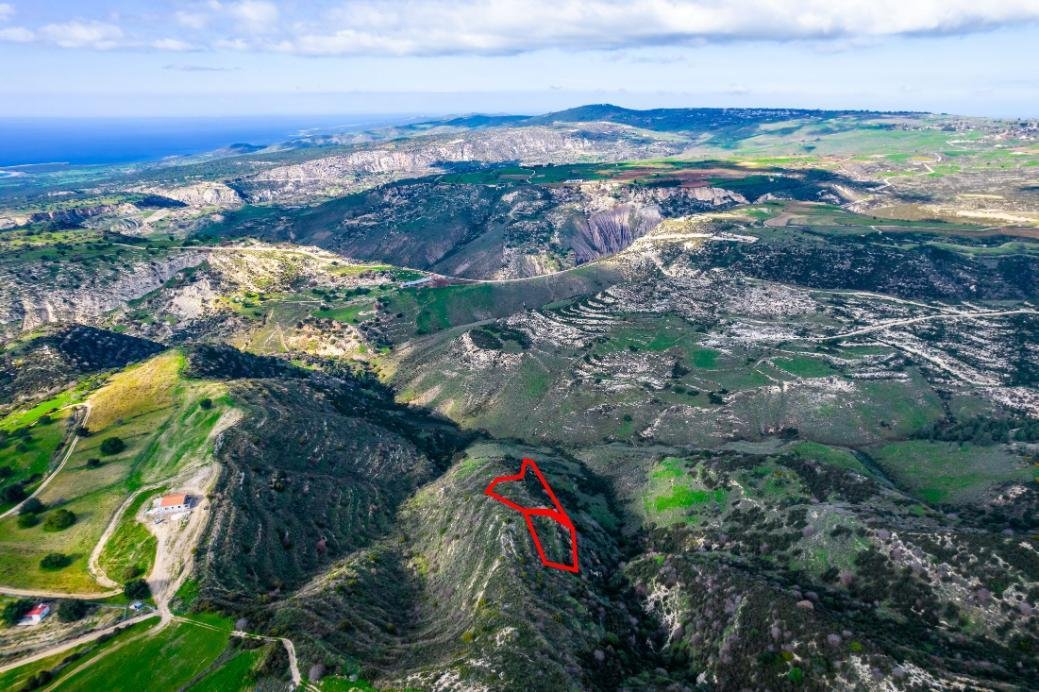 Agricultural fields in Pegeia, Paphos photo 3