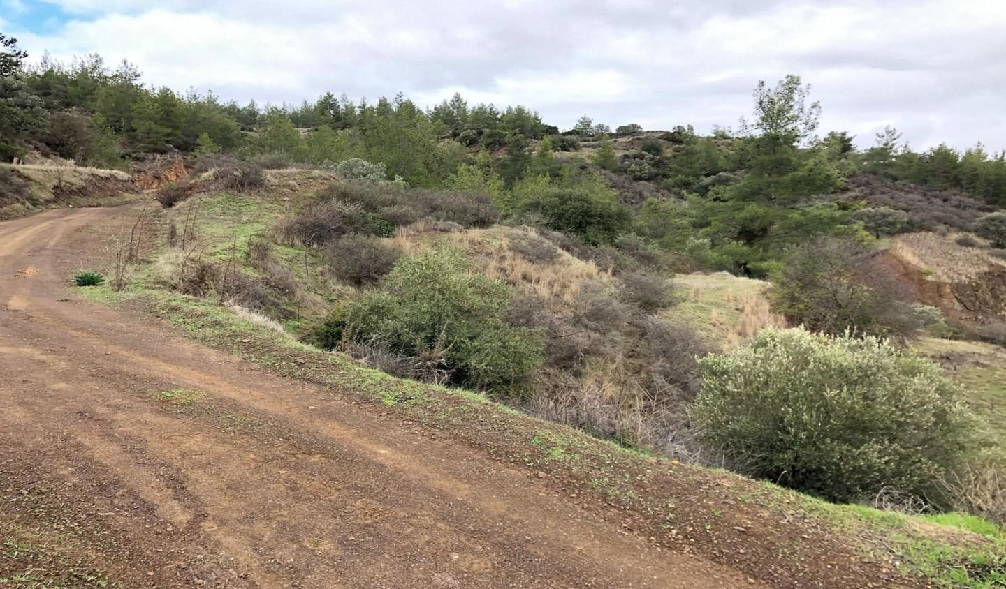 Agricultural field, Lysos photo 5