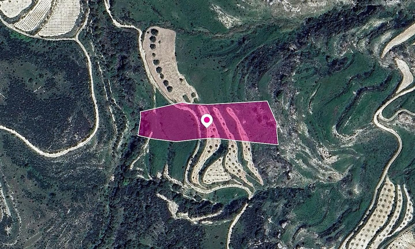 Animal Breeding Zoned Field in Stroumpi, Paphos photo 2